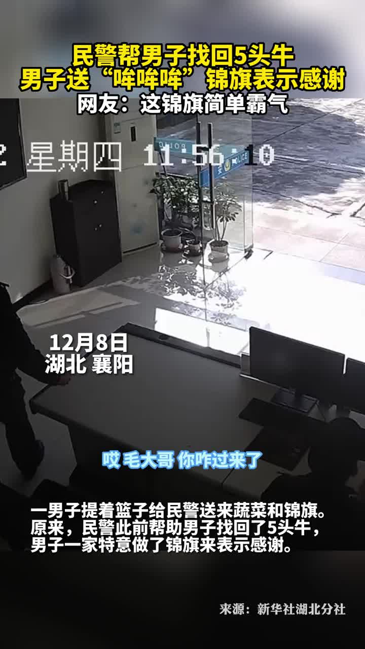 民警帮男子找回5头牛男子送哞哞哞锦旗表示感谢