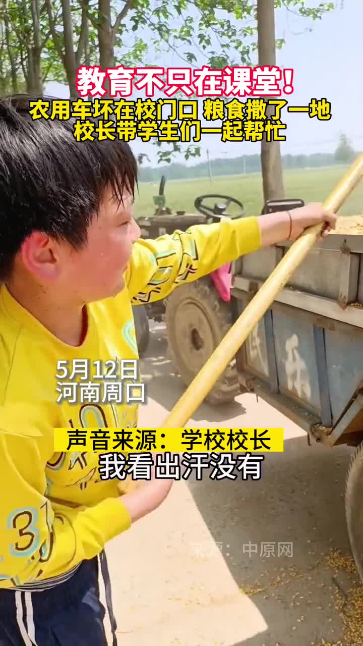 教育不只在课堂农用车坏在校门口粮食撒了一地校长带学生们一起帮忙