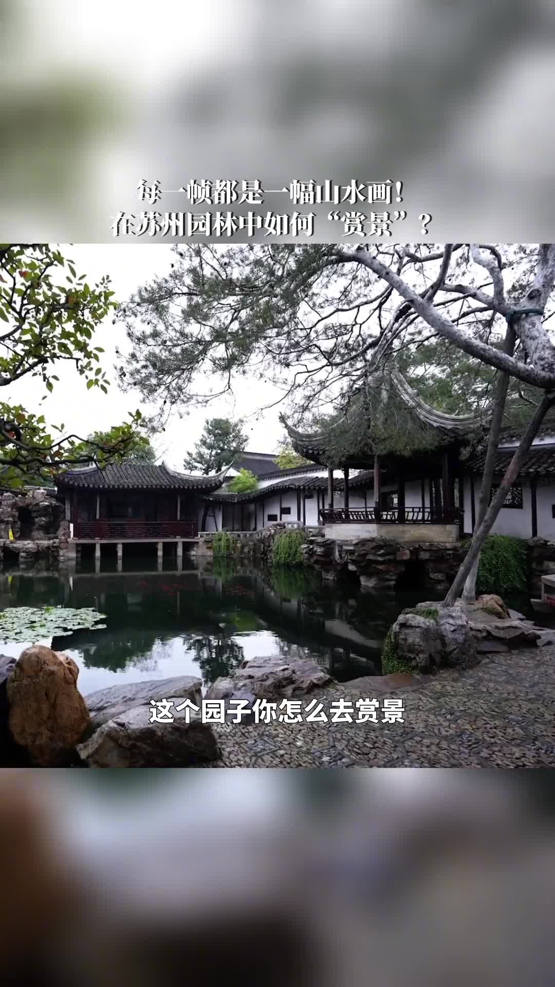 每一帧都是一幅山水画身处苏州园林中应当如何赏景