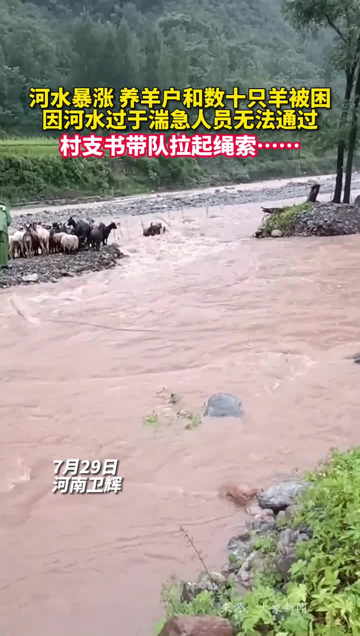 河水暴涨养羊户和数十只羊被困因河水过于湍急人员无法通过村支书带队拉起绳索