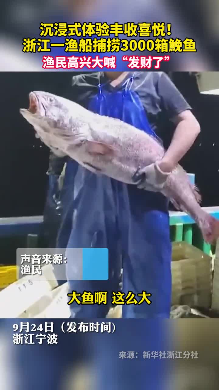 沉浸式体验丰收喜悦浙江一渔船捕捞3000箱鮸鱼渔民高兴大喊发财了