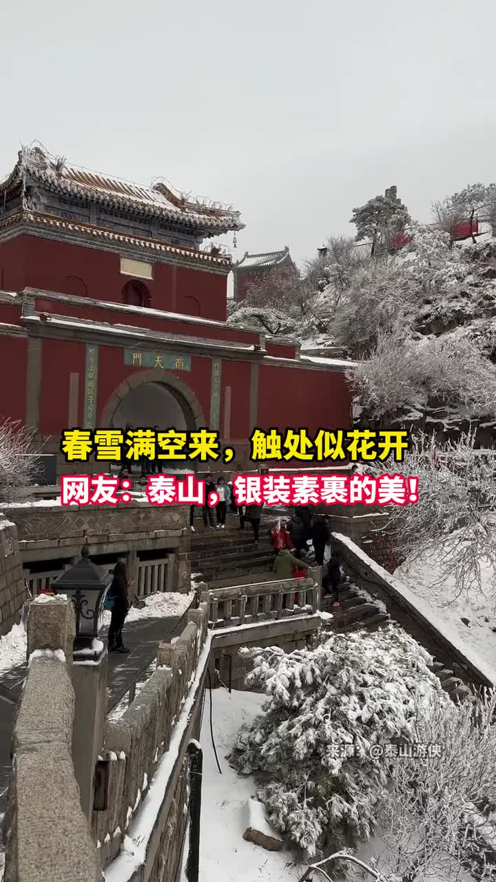 春雪满空来触处似花开网友泰山银装素裹的美