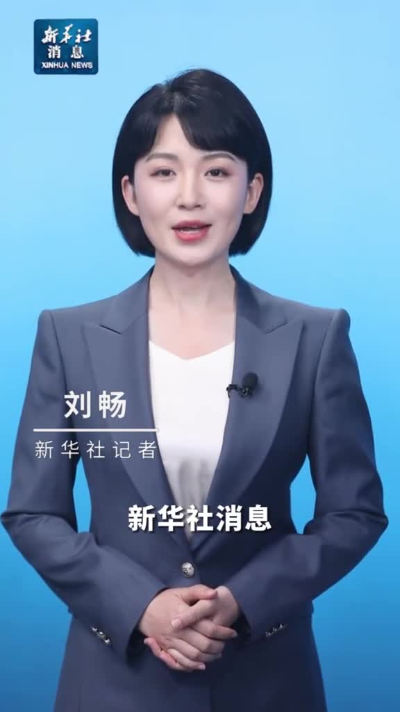 新华社消息中阿合作论坛第十届部长级会议通过系列成果文件