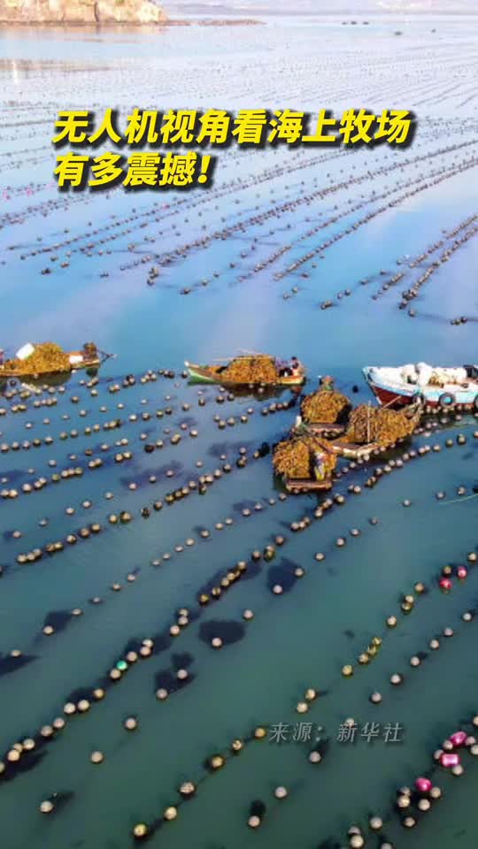 无人机视角看海上牧场有多震撼