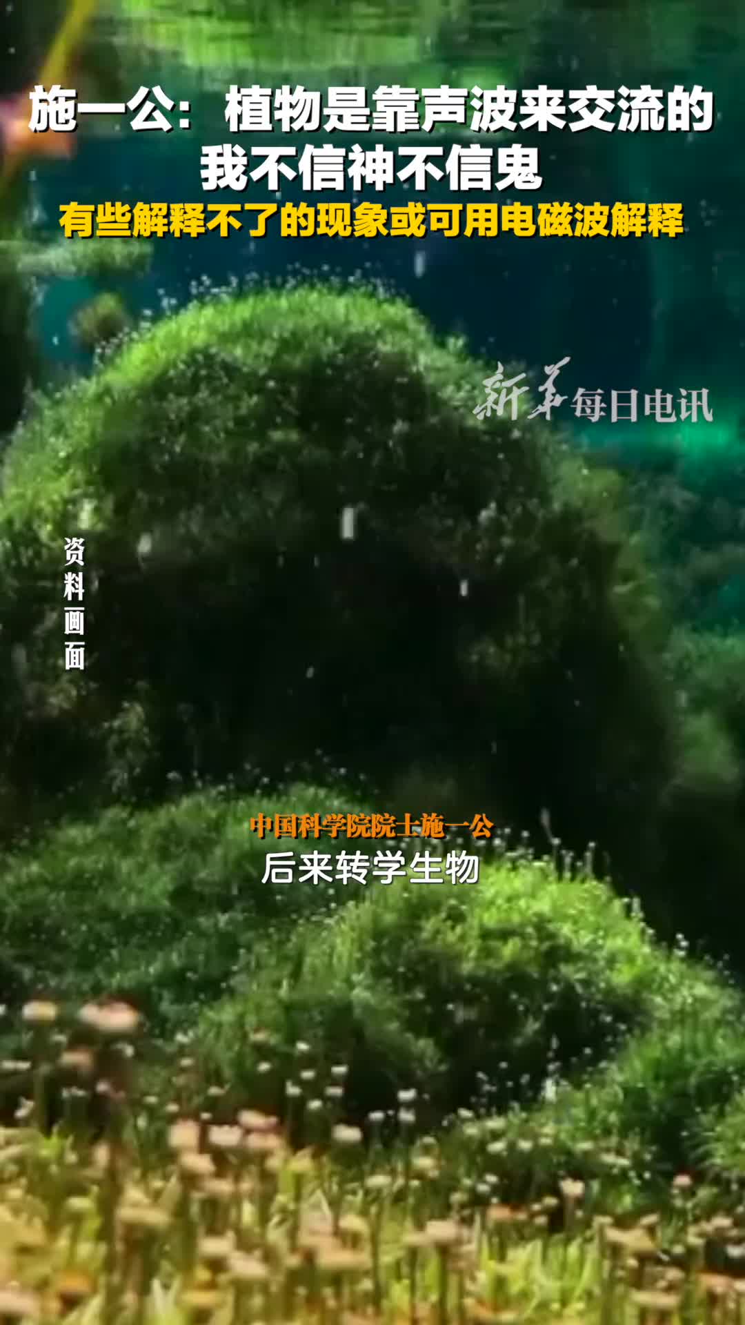 施一公植物是靠声波来交流的我不信神不信鬼有些解释不了的现象或可用电磁波解