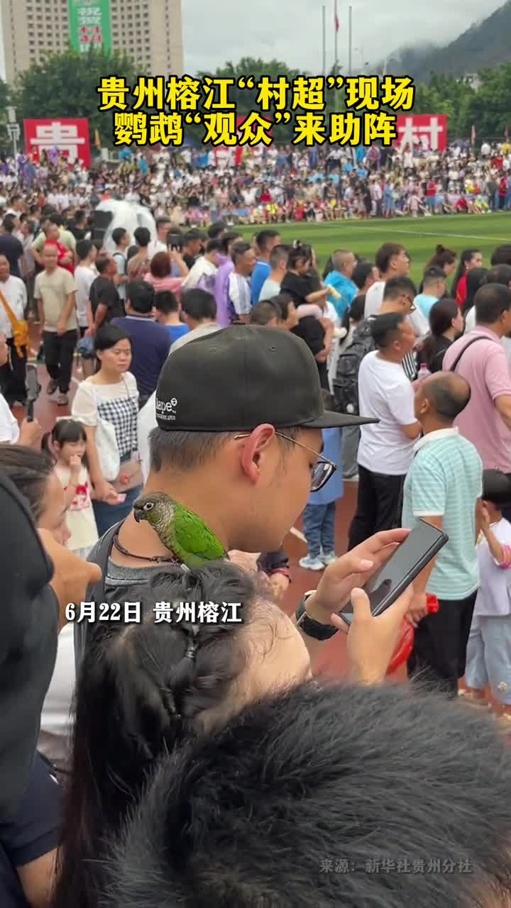 村超现场鹦鹉观众来助阵