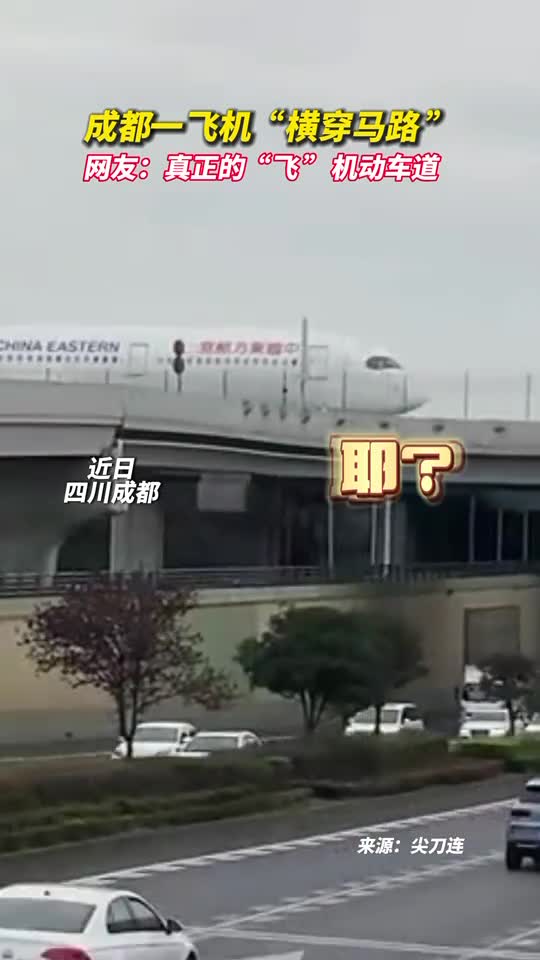 成都一飞机横穿马路网友真正的飞机动车道
