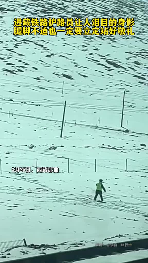 护路员让人泪目的身影