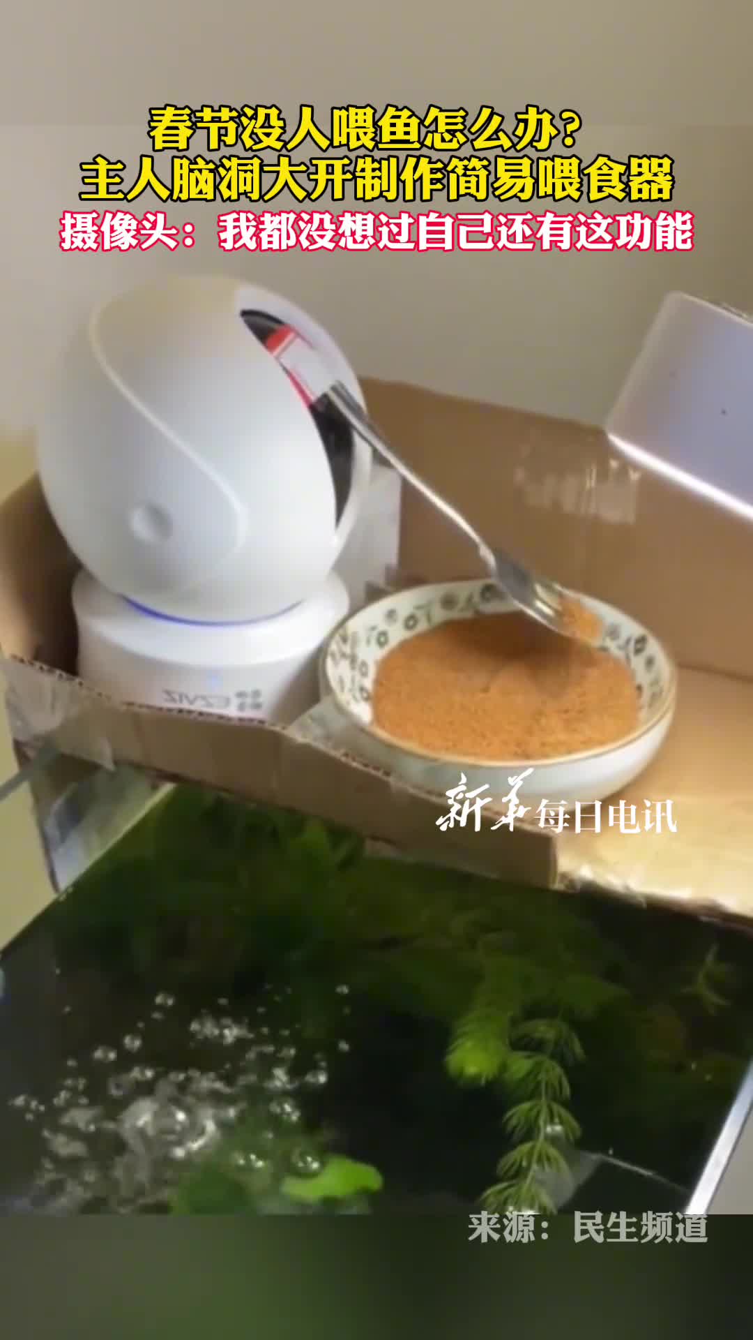春节没人喂鱼怎么办主人脑洞大开制作简易喂食器摄像头我都没想过自己还有这功能