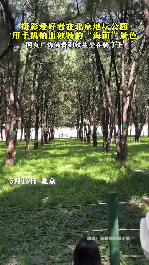 摄影爱好者在北京地坛公园用手机拍出独特海面网友仿佛看到了铁生坐在椅子上