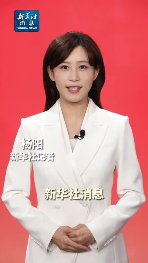 新华社消息中央政治局委员书记处书记等向党中央和习近平总书记述职