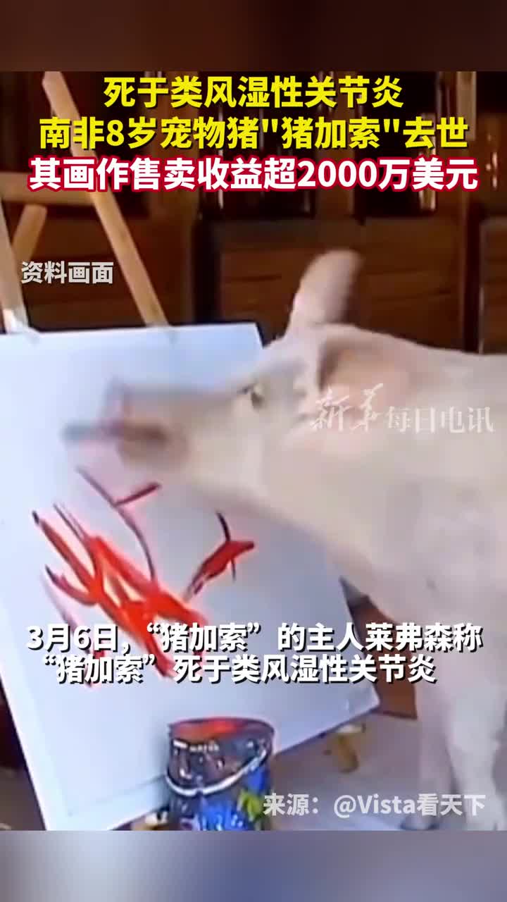 死于类风湿性关节炎南非8岁宠物猪猪加索去世其画作售卖收益超2000万美元
