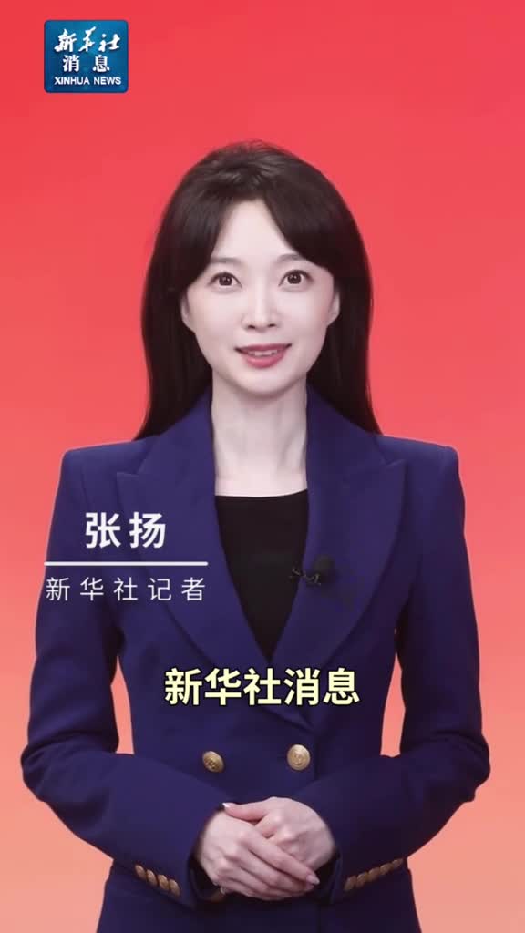 新华社消息习近平同埃及总统塞西会谈