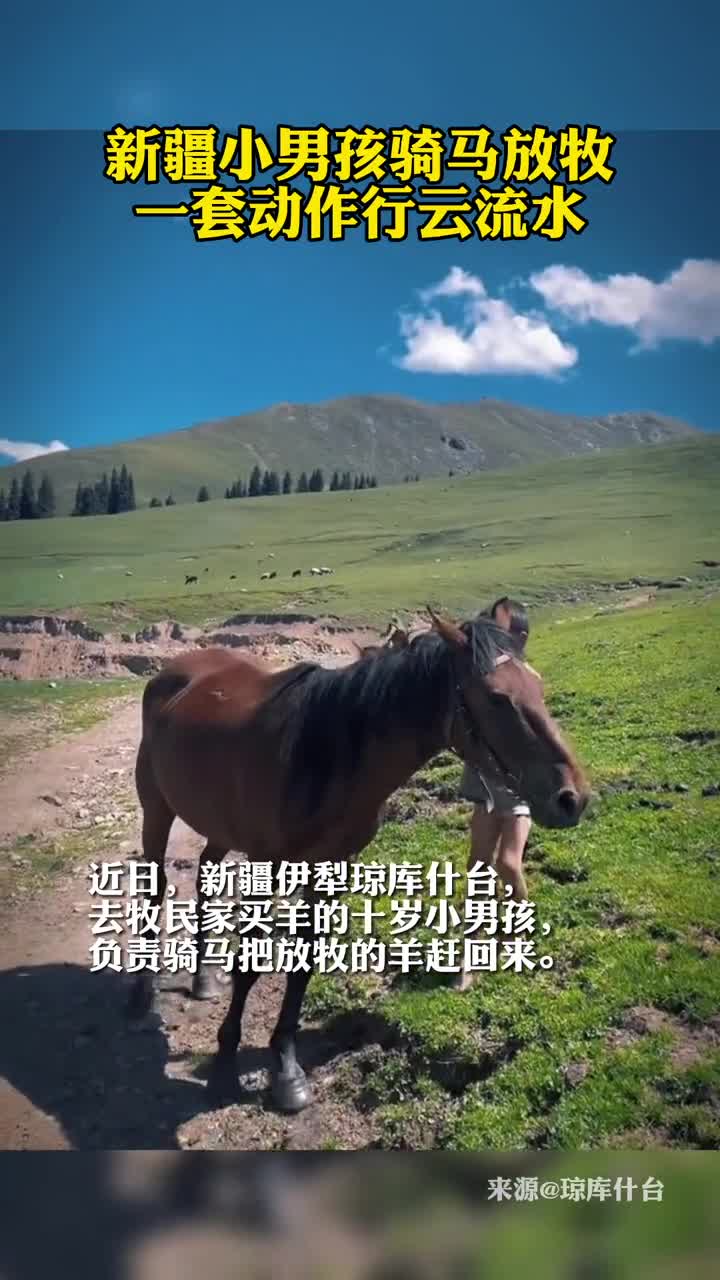 新疆小男孩骑马放牧一套动作行云流水
