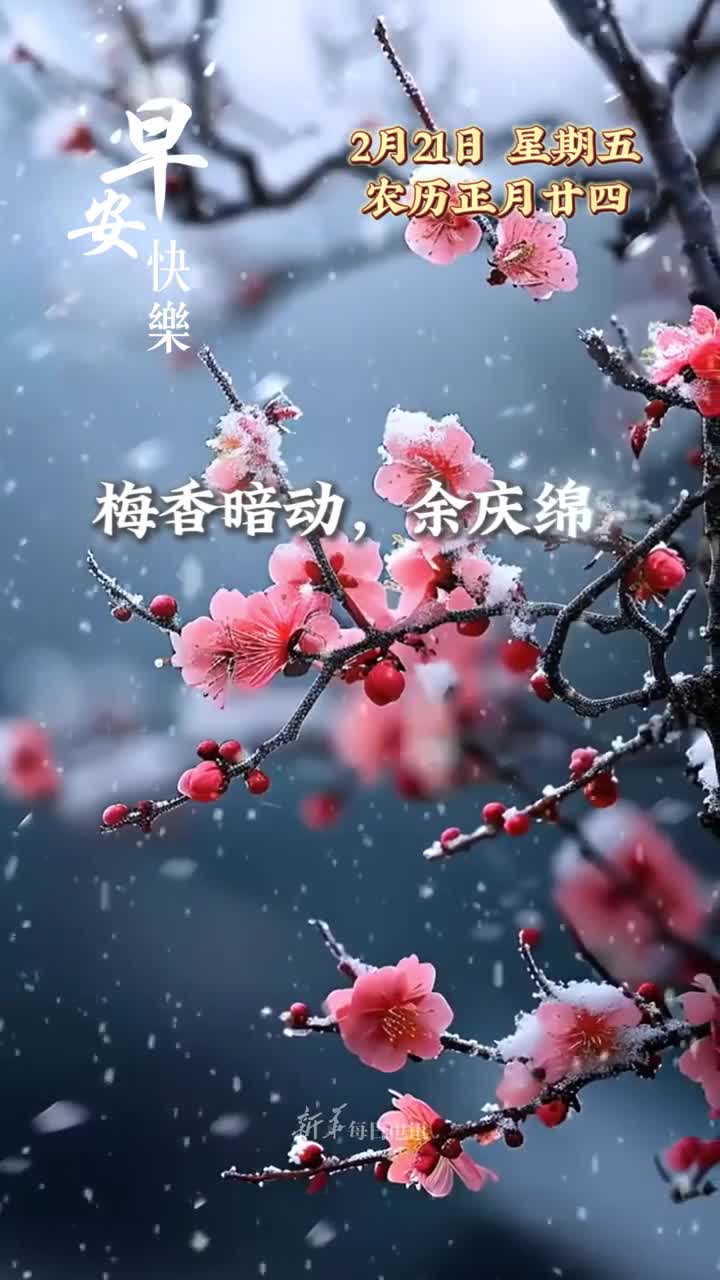梅香暗动余庆绵延今天是正月二十四日愿东风解意福泽常临晨昏皆暖朝暮康宁早安