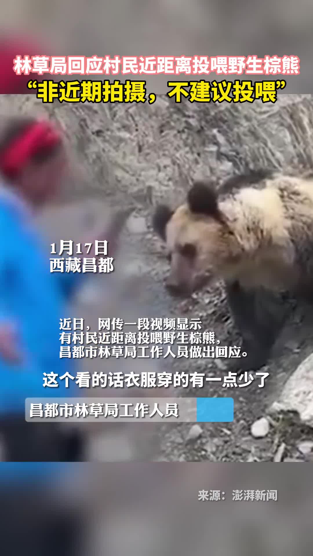 林草局回应村民近距离投喂野生棕熊非近期拍摄不建议投喂