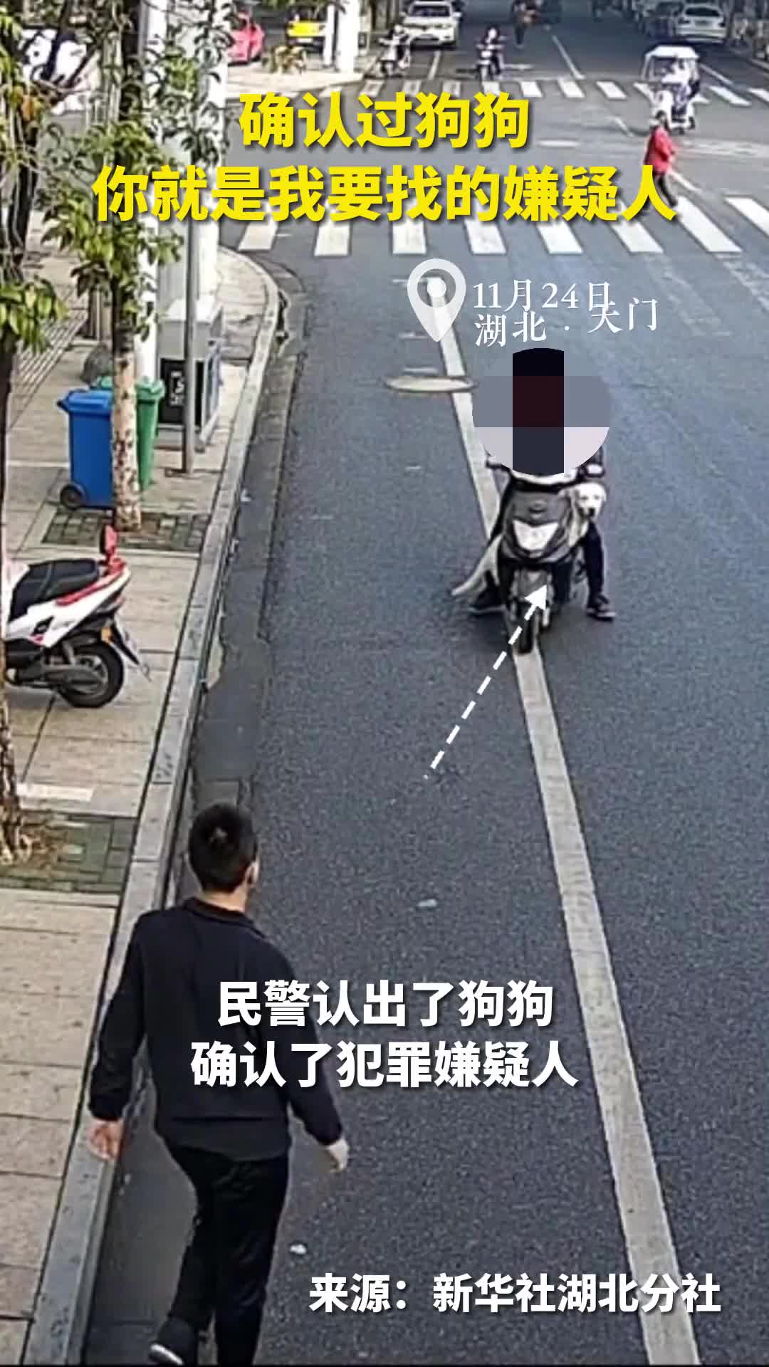 民警确定过狗狗你就是我要找的嫌疑人
