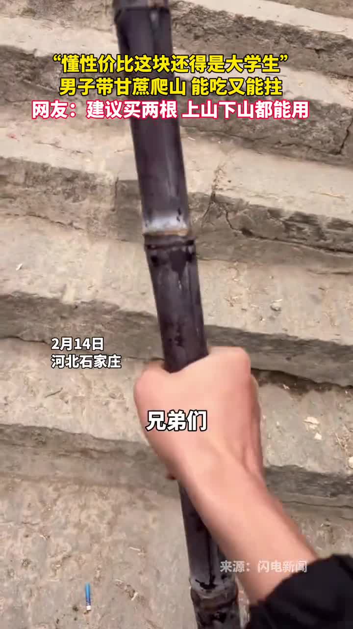 懂性价比这块还得是大学生男子带甘蔗爬山能吃又能拄网友建议买两根上山下山都能用