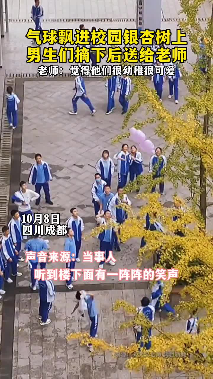 气球飘进校园银杏树上男生们摘下后送给老师