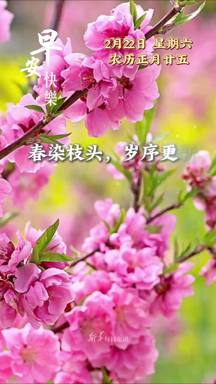 春染枝头岁序更新今天是正月二十五日愿晨光熹微照亮前程万事胜意岁岁常欢早安