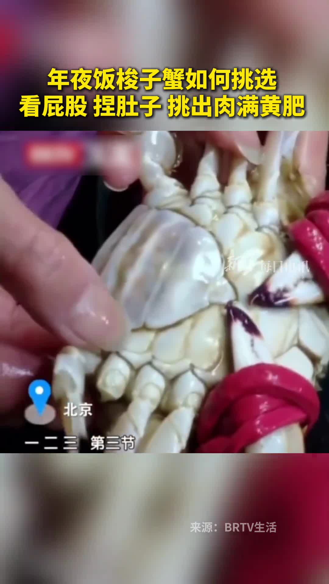 年夜饭梭子蟹如何挑选看屁股捏肚子挑出肉满黄肥过年的餐桌上螃蟹是必不可少的美味今年的梭子蟹受气温影响比往年更肥美那么如何挑选呢商户表示从梭子蟹腹部的第三节按下去如果特别硬按不动那就是肉多看螃蟹的后屁股后背和腹部间隙越宽越肥美