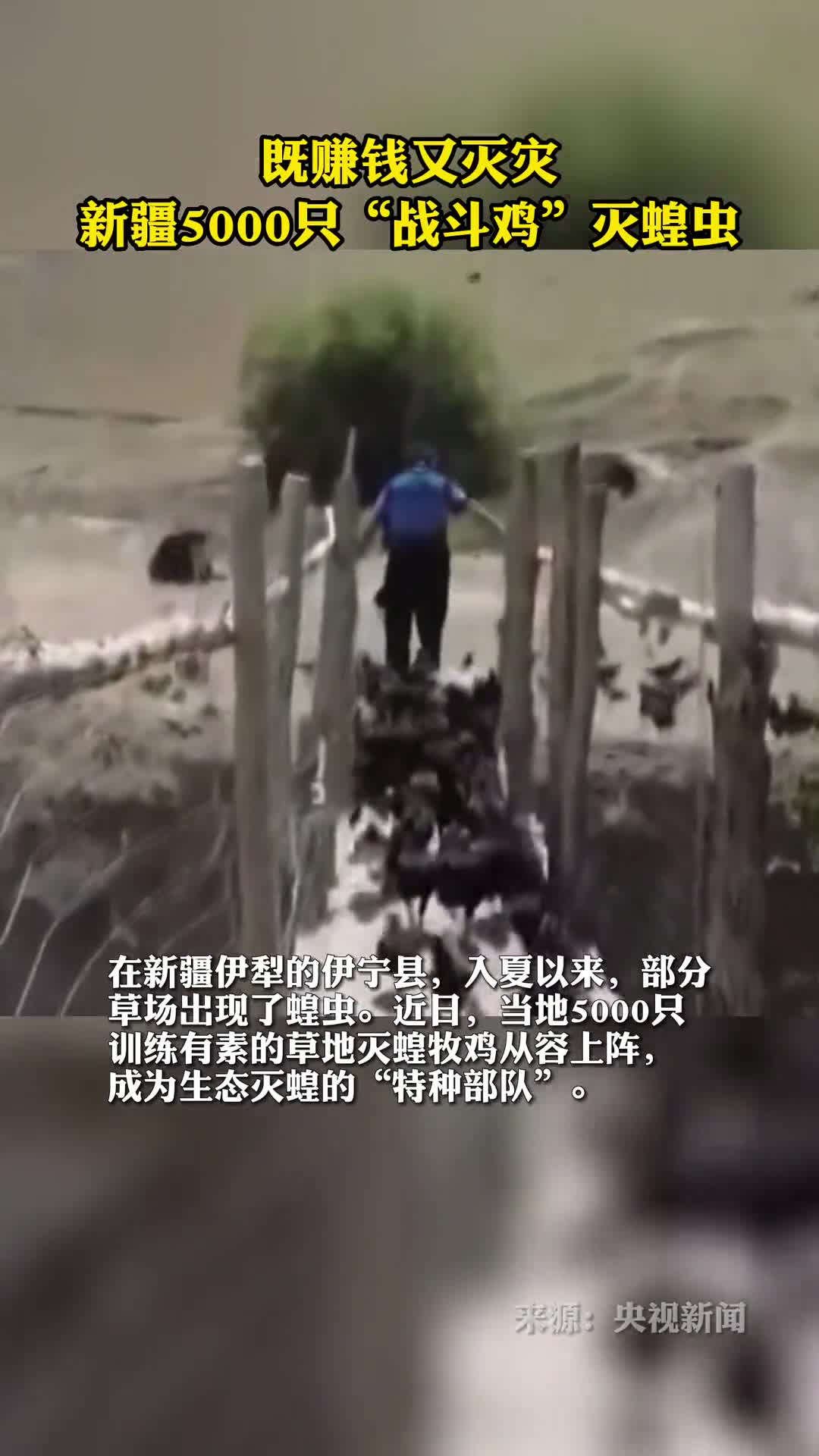 既赚钱又灭灾