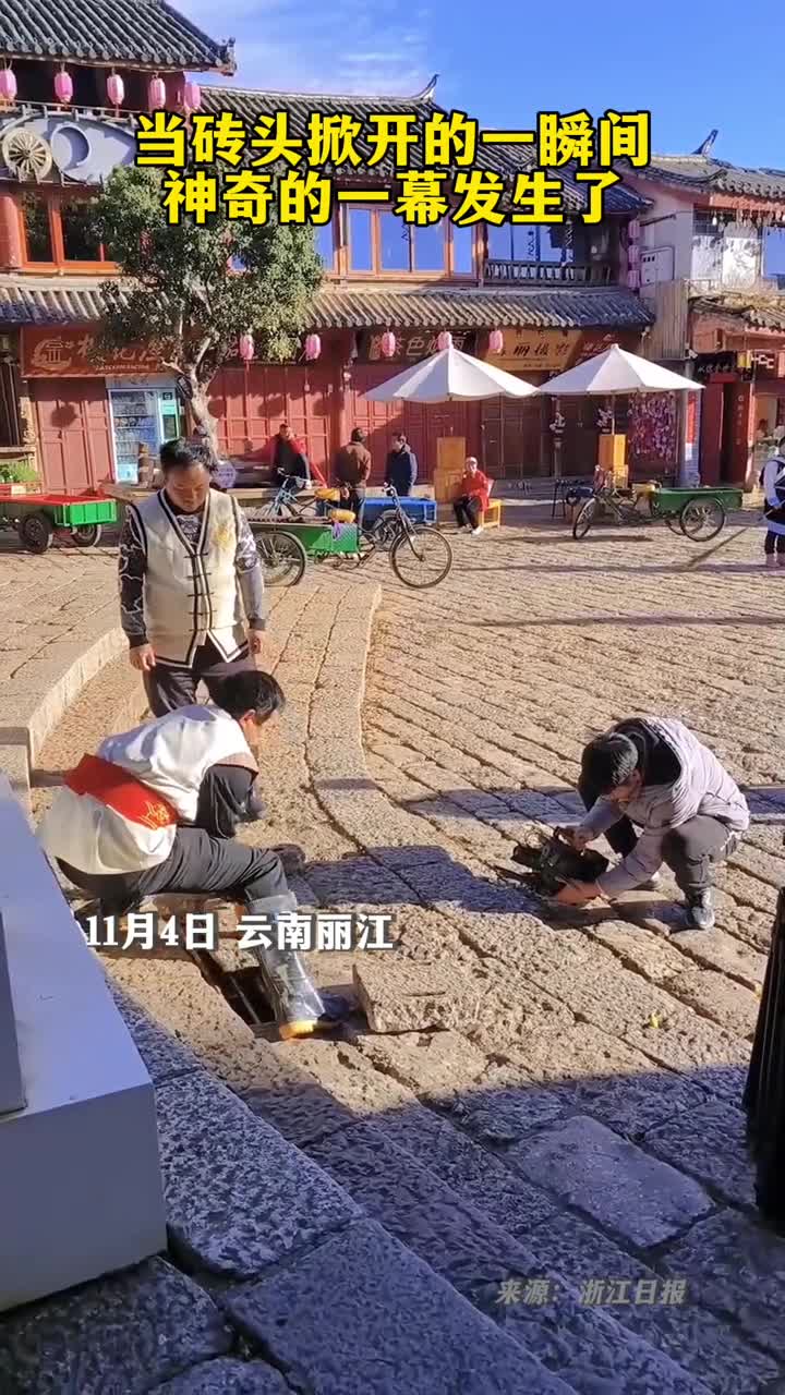 当砖头掀开的一瞬间神奇的一幕发生了