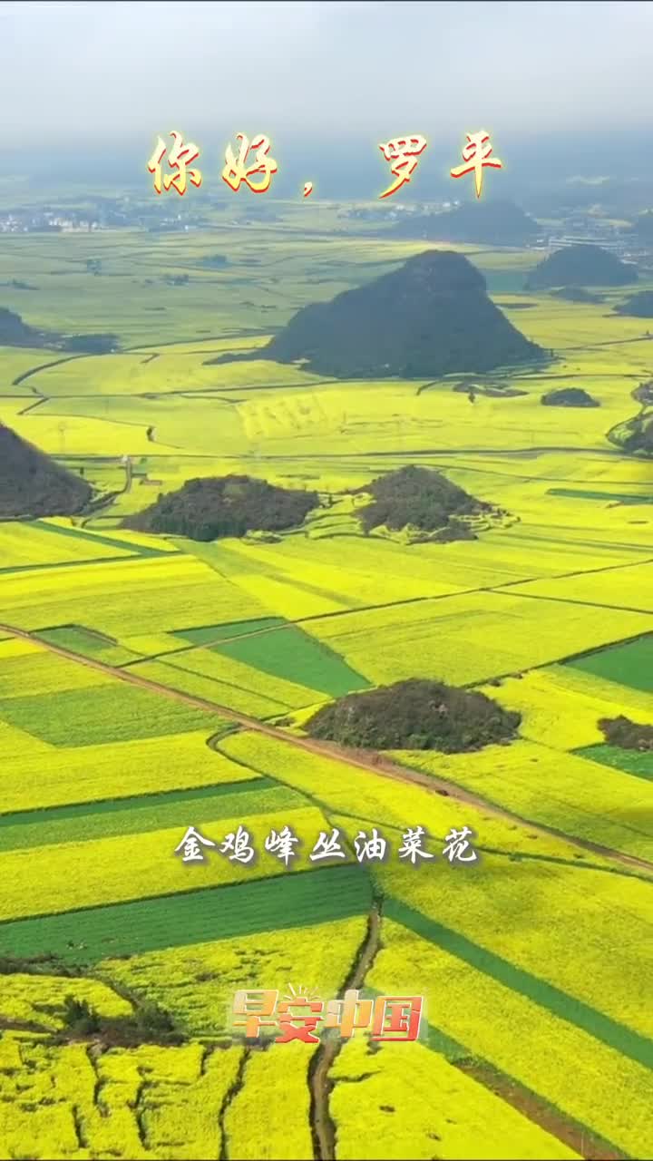 油菜花香说丰年听取蜜蜂声一片