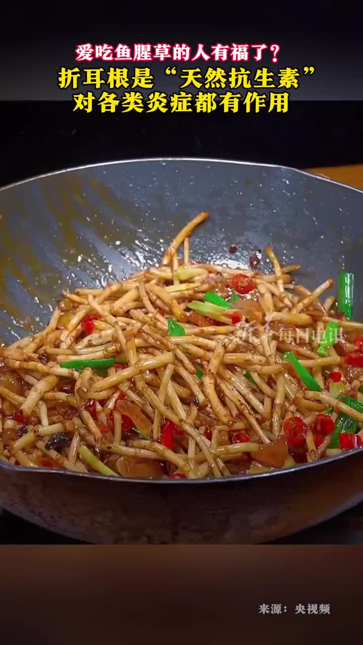 折耳根是天然抗生素对各类炎症都有作用