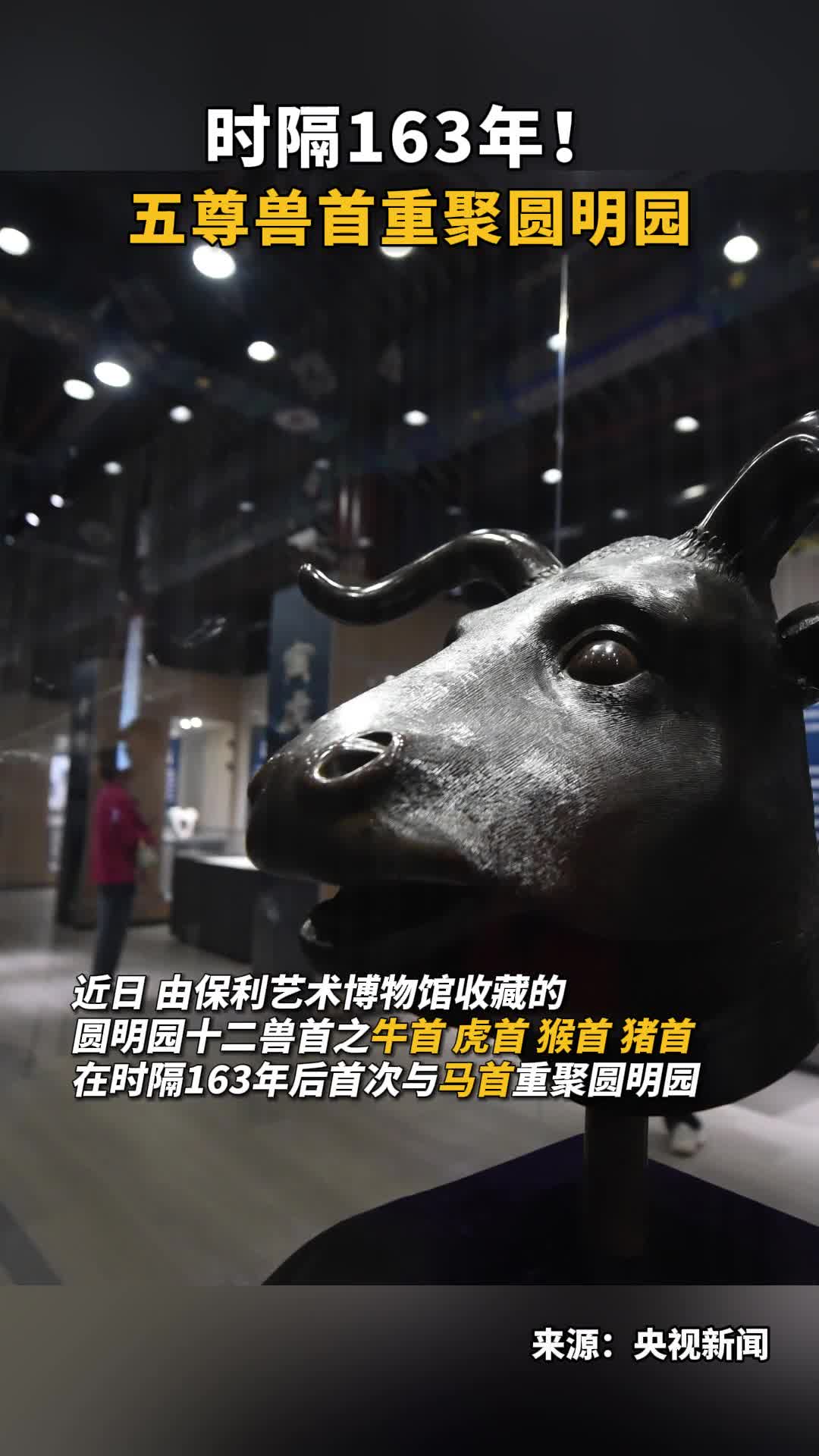 时隔163年五尊兽首重聚圆明园