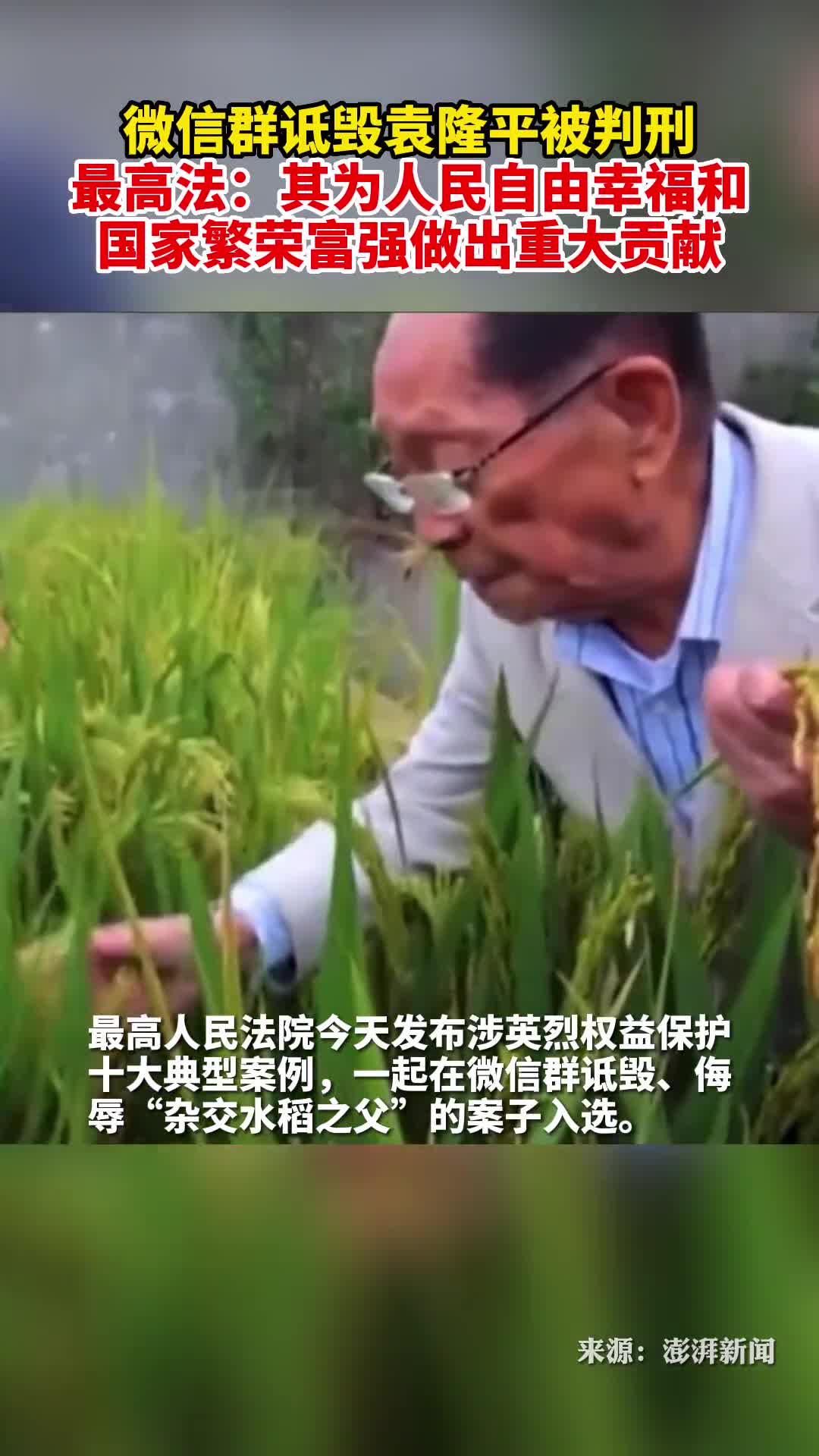 微信群诋毁侮辱袁隆平被判刑最高法英雄荣光不容亵渎