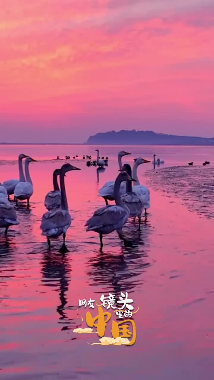 氤氲湿地冬景如画