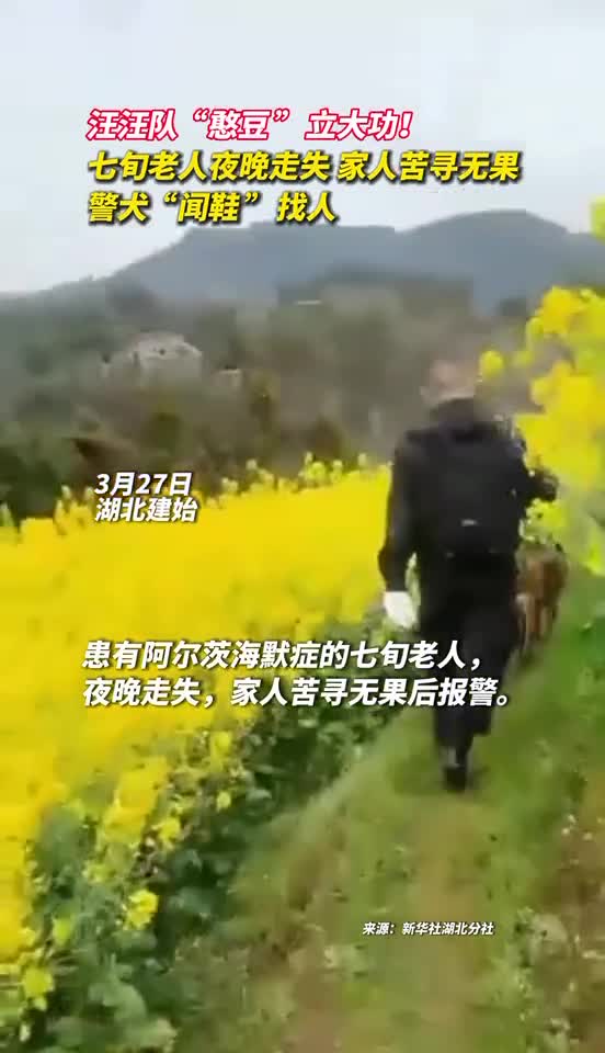 汪汪队憨豆立大功七旬老人夜晚走失家人苦寻无果警犬闻鞋找人