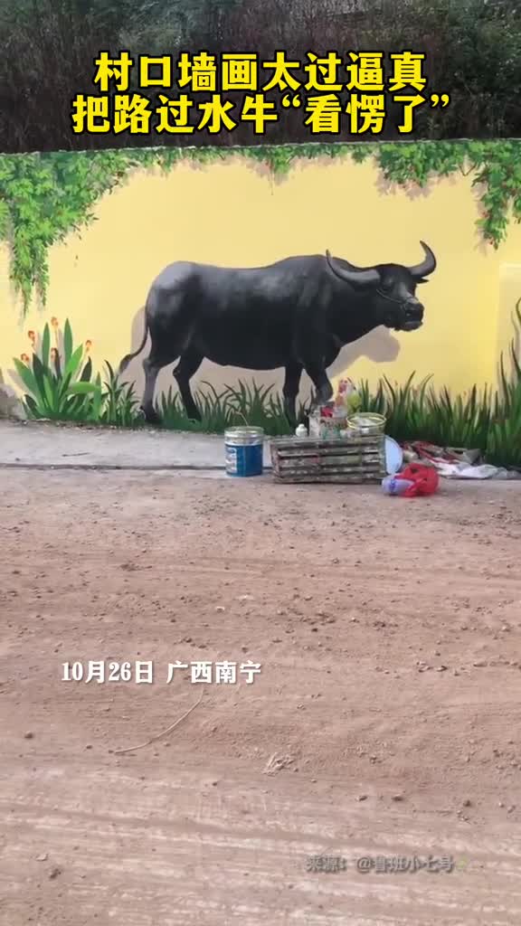 村口墙画太过逼真把路过大水牛看愣了