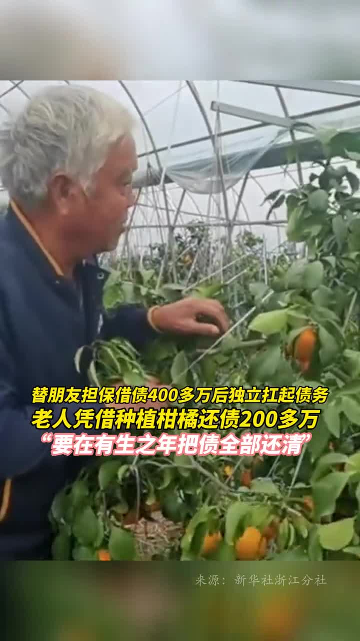 替朋友担保借债400多万后独立扛起债务老人凭借种植柑橘还债200多万要在有生之年把债全部还清