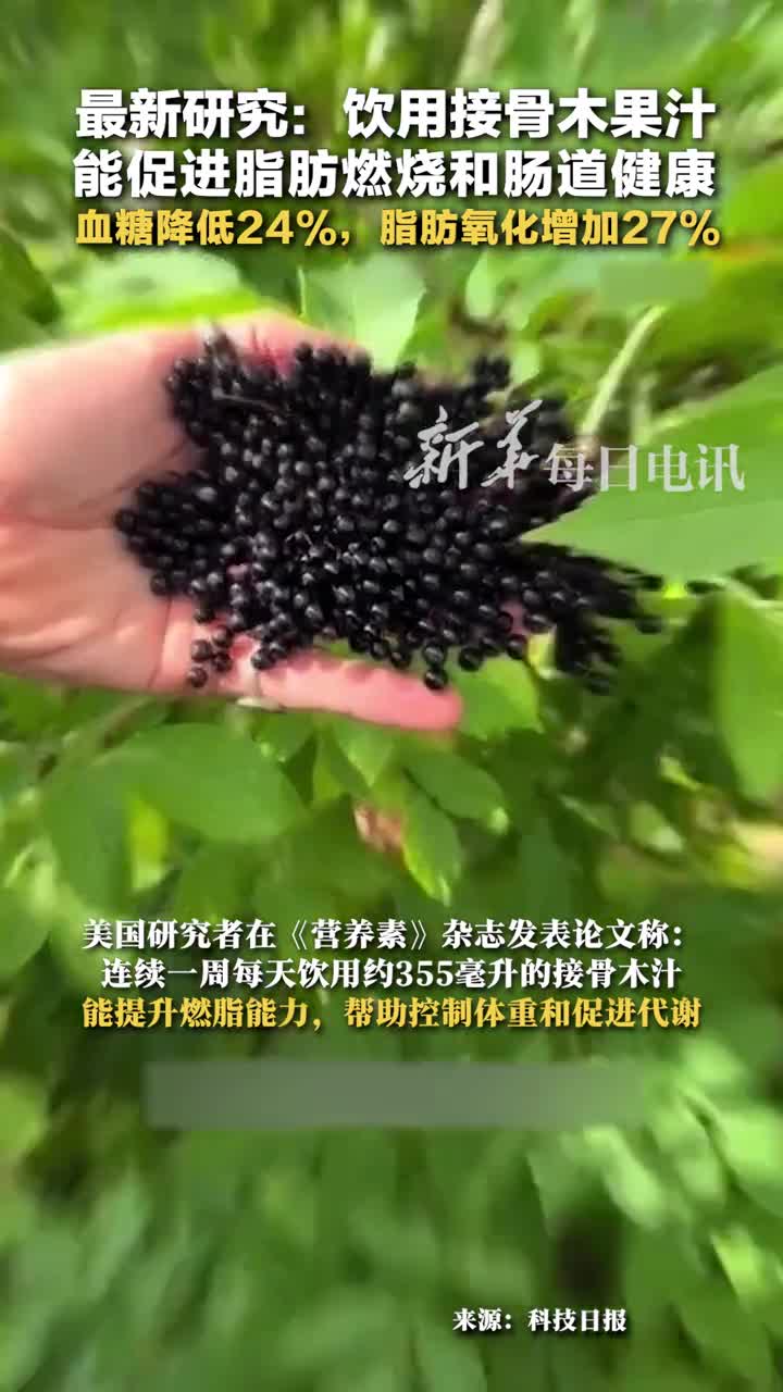 最新研究饮用接骨木果汁能促进脂肪燃烧和肠道健康血糖降低24脂肪氧化增加27