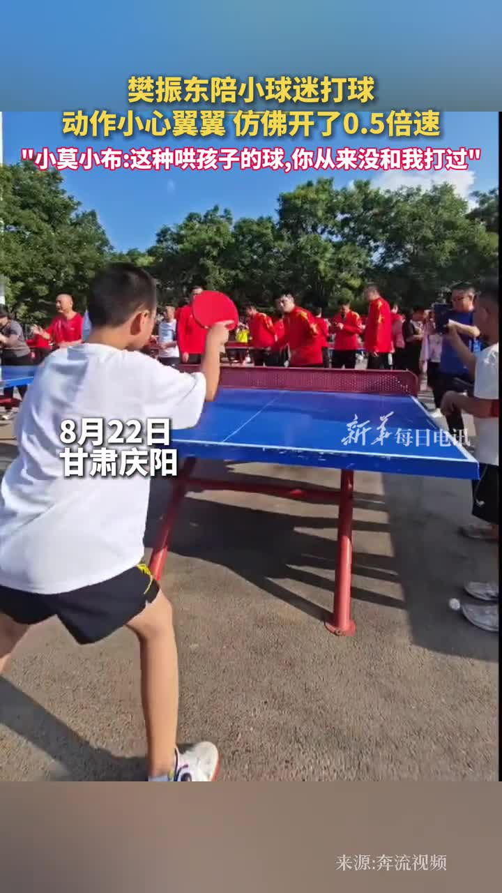 樊振东陪小球迷打球动作小心翼翼仿佛开了05倍速小莫小布这种哄孩子的球你从来没和我打过