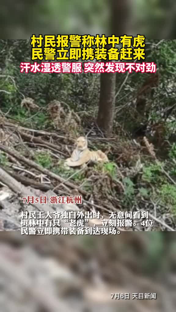 村民报警称林中有虎民警立即携装备赶来结果