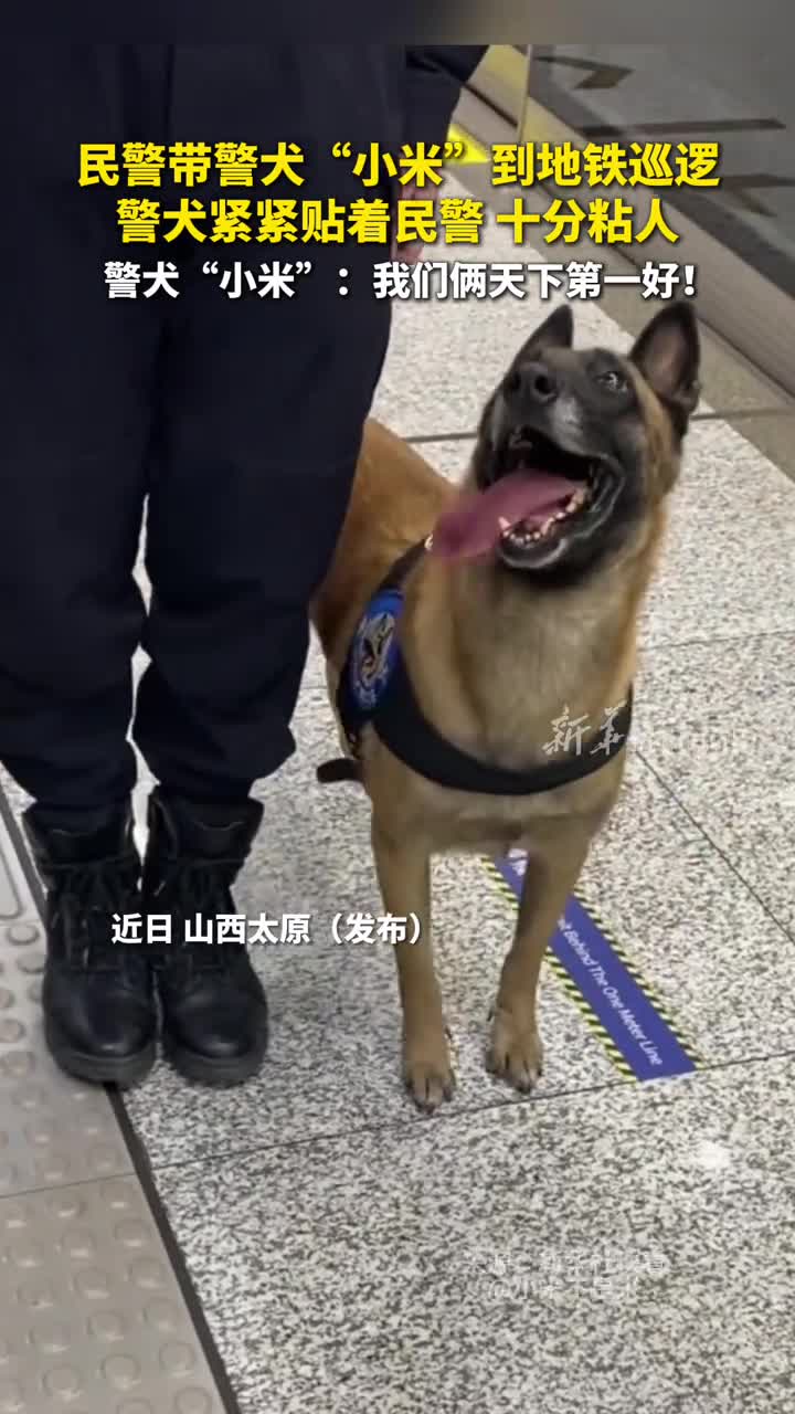 民警带警犬小米到地铁巡逻警犬紧紧贴着民警十分粘人警犬小米我们俩天下第一好