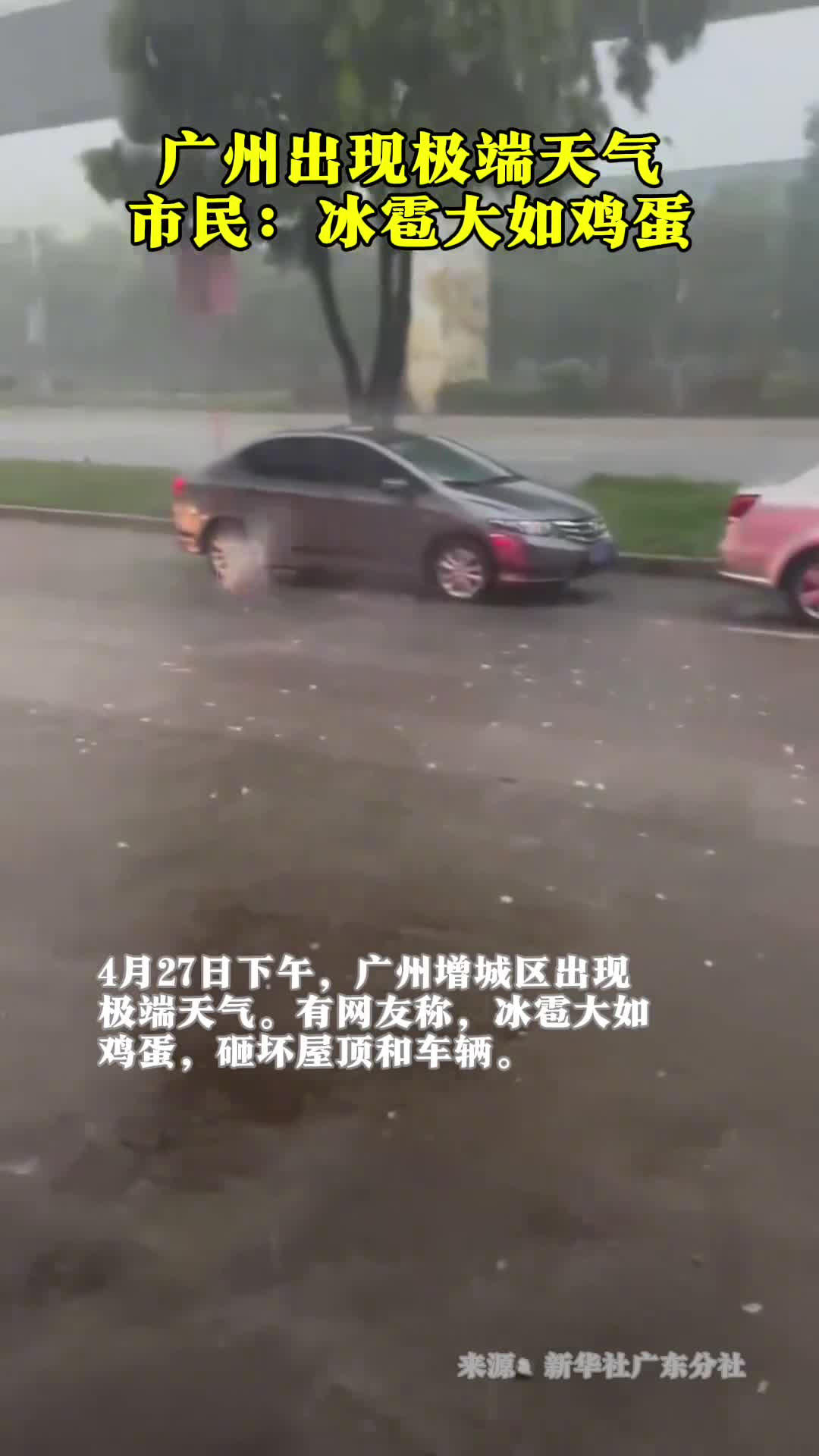 广州增城区出现极端天气有网友称冰雹大如鸡蛋
