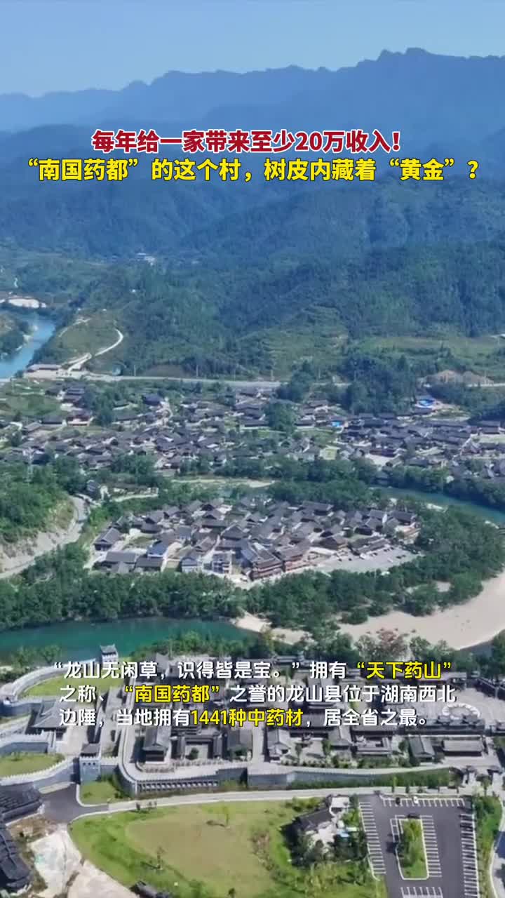 每年给一家带来至少20万收入南国药都的这个村树皮内藏着黄金