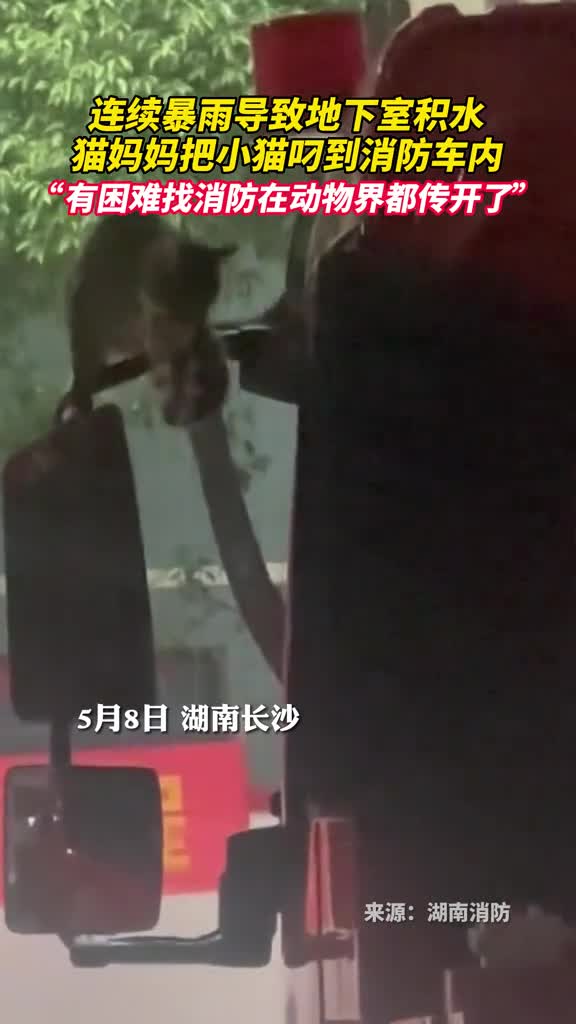 有困难找消防在动物界都传开了