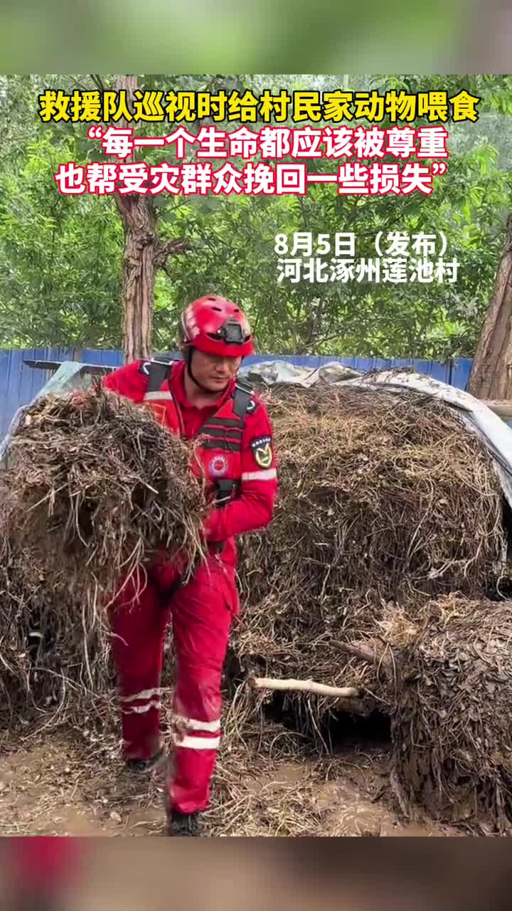救援队巡视时给村民家动物喂食每一条生命都应该被尊重也帮受灾群众挽回一些损失