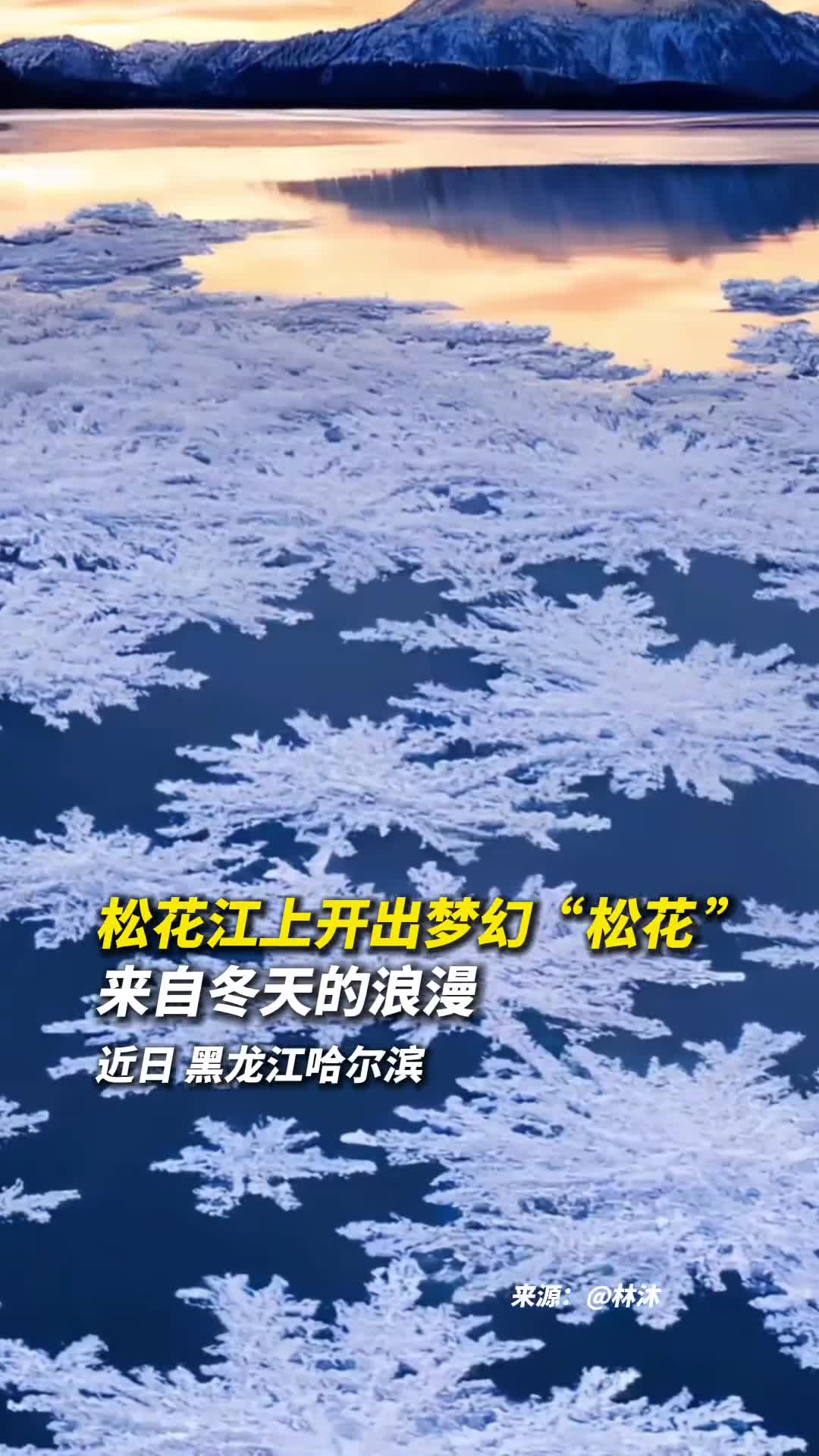 松花江上开出梦幻松花来自冬天的浪漫