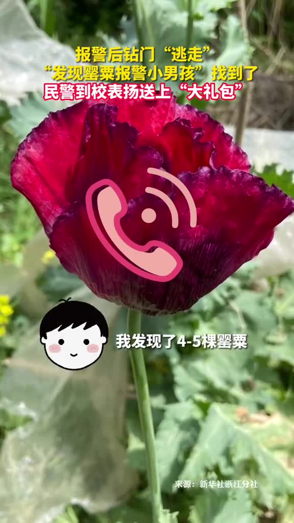报警后钻门逃走发现罂粟报警小男孩找到了民警到校表扬送上大礼包