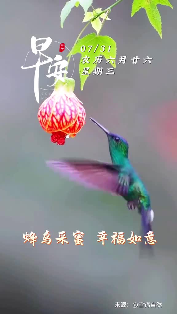 快乐日日在幸福天天来新的一天愿您祥瑞安康岁岁无恙幸福美满永相伴