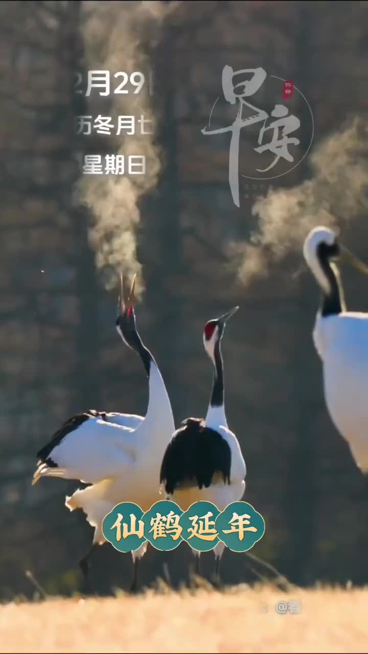 新的一天祝您和家人福星高照健康长寿早安每日祝福