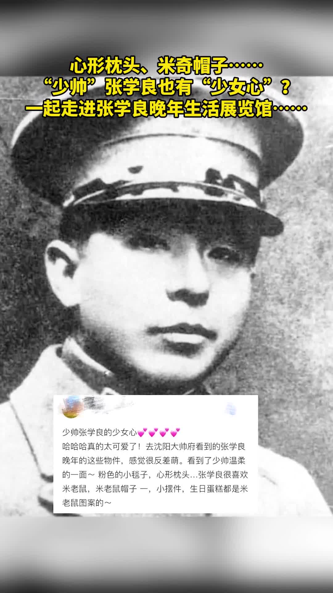 心形枕头米奇帽子少帅张学良也有少女心