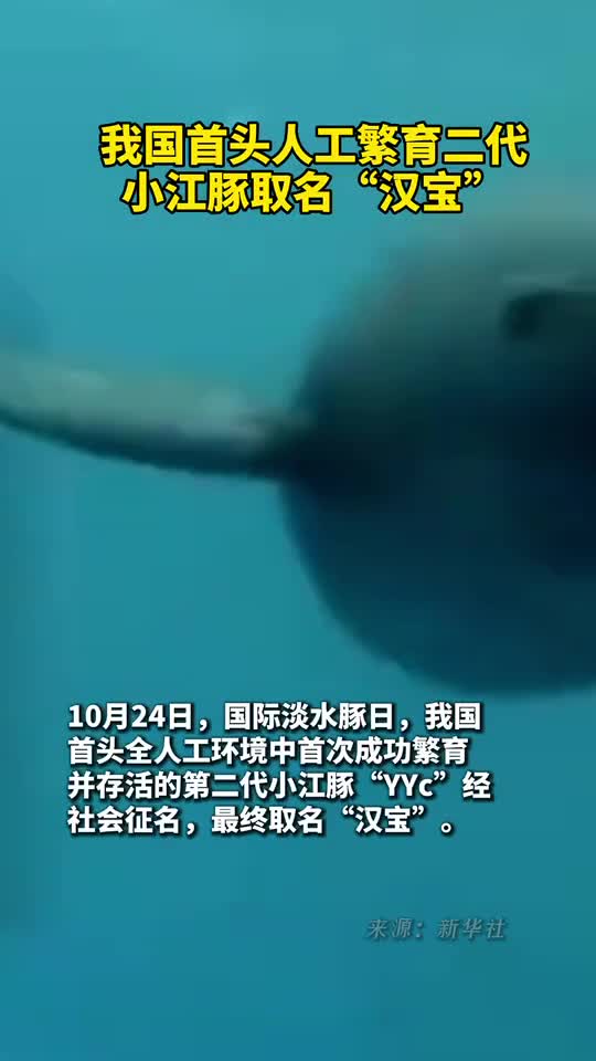 我国首头人工繁育二代小江豚取名汉宝