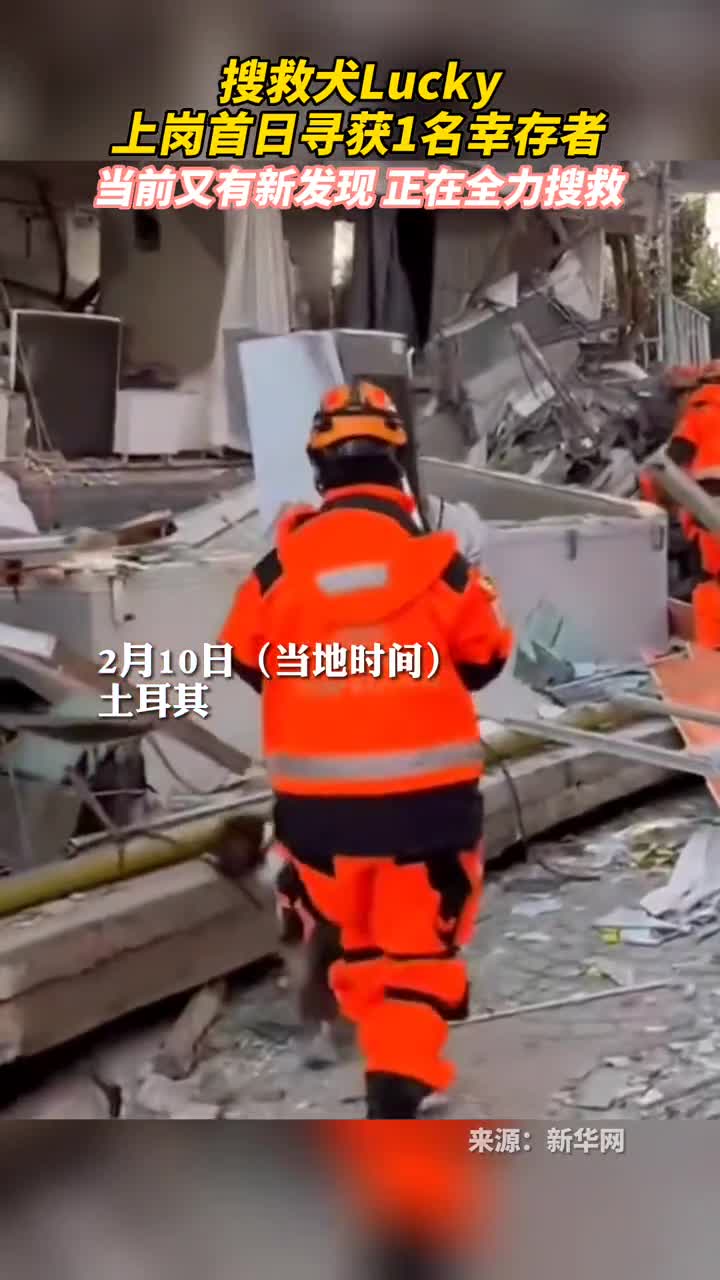 搜救犬lucky上岗首日寻获1名幸存者当前又有新发现正在全力搜救